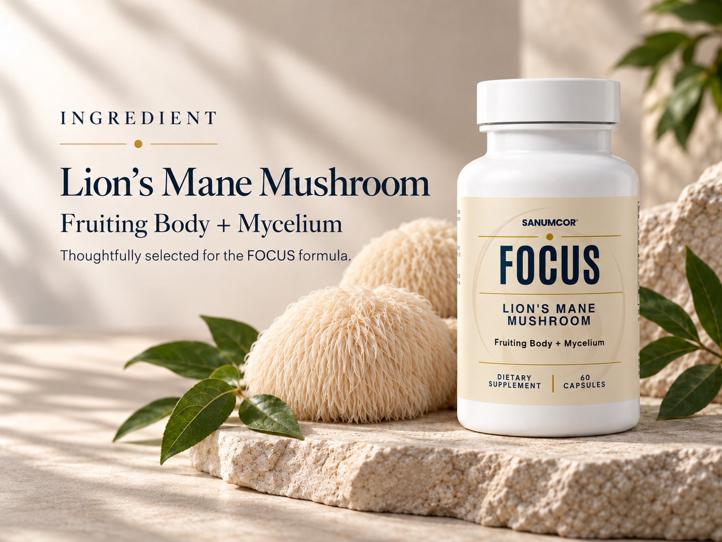 SANUMCOR FOCUS Lion’s Mane ingredient visual